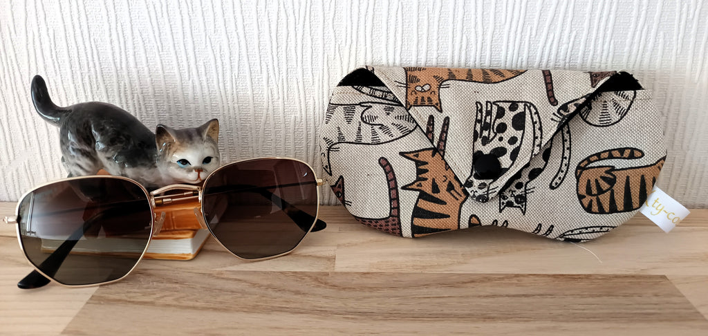 Etui à lunettes